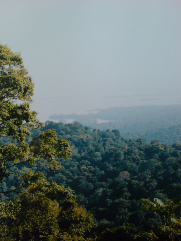 2001-2002 Brownsberg Natuurpark.