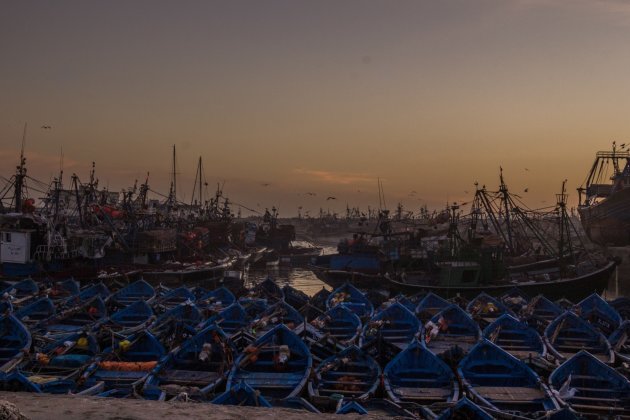 De haven van Essaouira bij het vallen van de avond