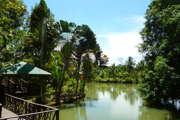 De schoonheid van Sandakan, Borneo