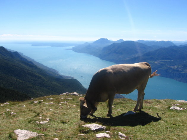 Monte Baldo - Lago di Garda - Italia