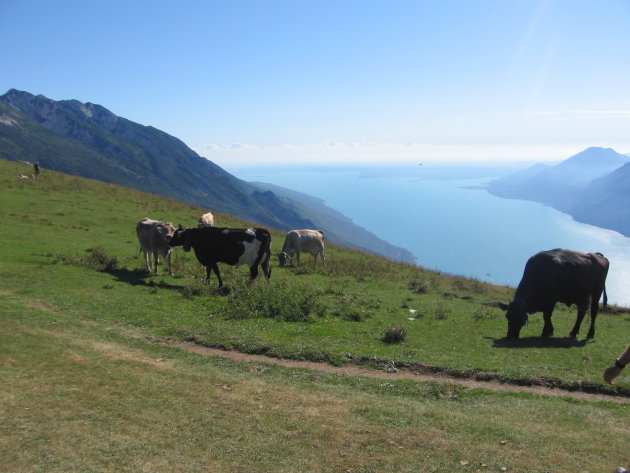 Monte Baldo - Lago di Garda