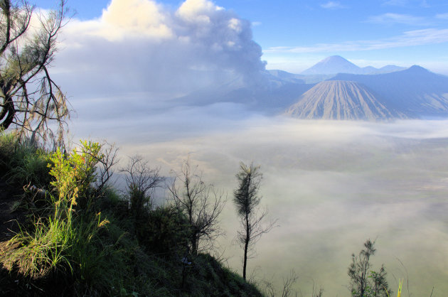 Bromo Tengger Semeru NP