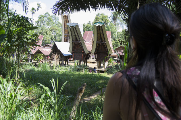 Toraja huizen in Sulawesi