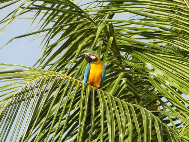 Kadootje in de tuin