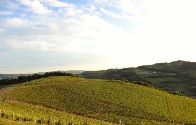 Uitzicht van restaurant Il Cascinone in Acqui Terme