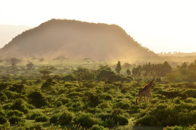 Wandelsafari in het Wileli Wildlife Conservancy