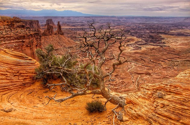 breathtaking deep canyons