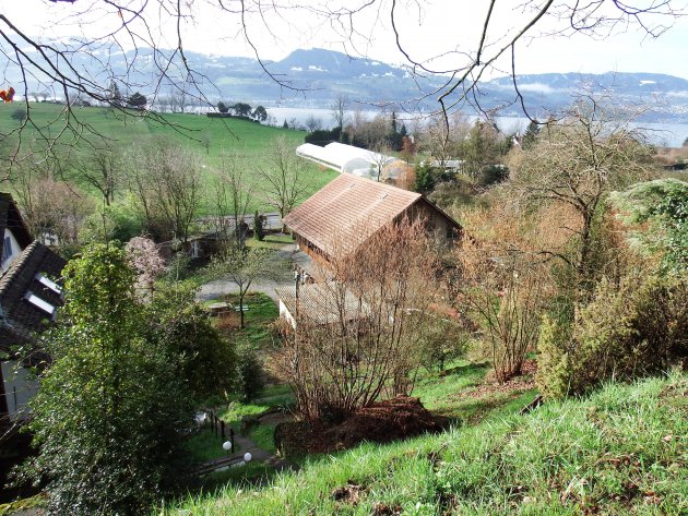 Synergy Village - Zwitserland - op ontdekkingstocht door de achtertuin
