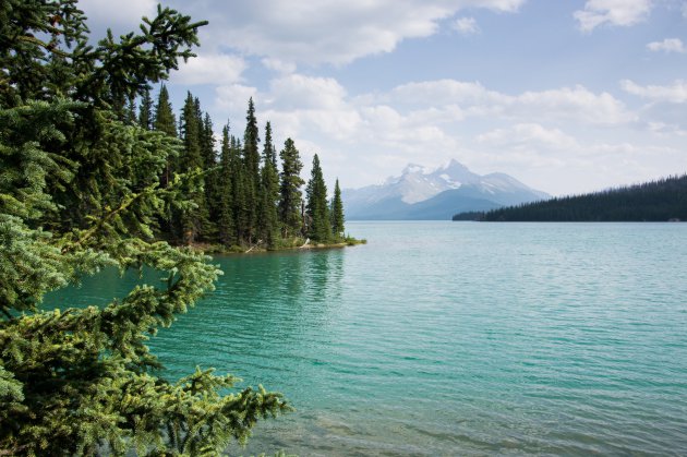 Maligne lake