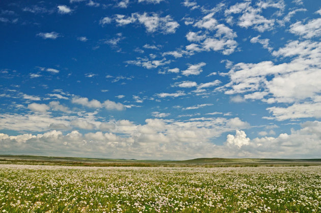 Clouds and Sky