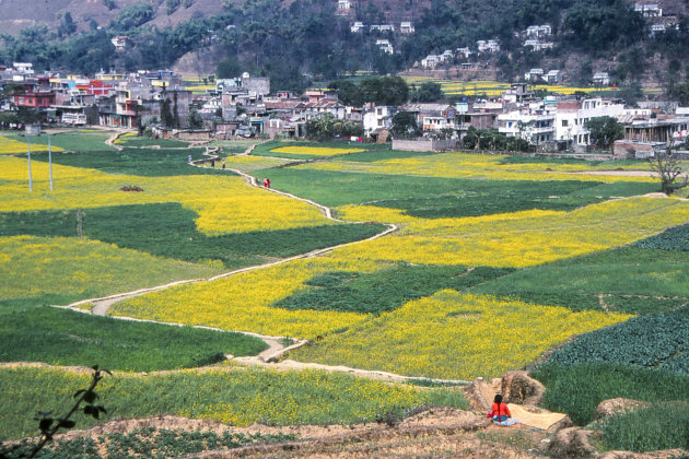 Kathmandu vallei