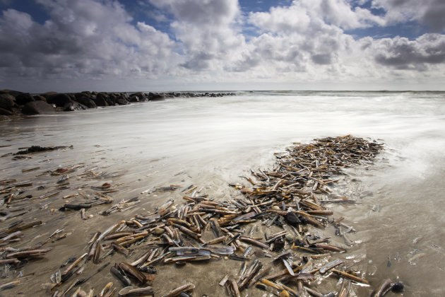 strand van Blavand