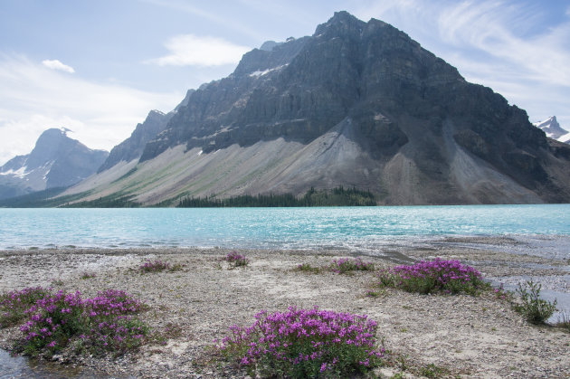 Simpson's Num-Ti-Jan Lodge bij Bow lake