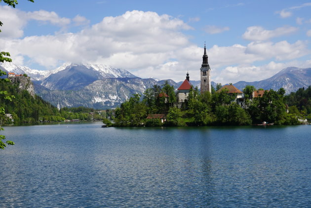 Bled