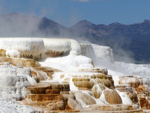 Witte kalkbekkens van Mammoth Hot Springs