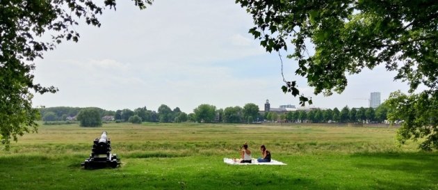 uitzicht op het Bossche Broek