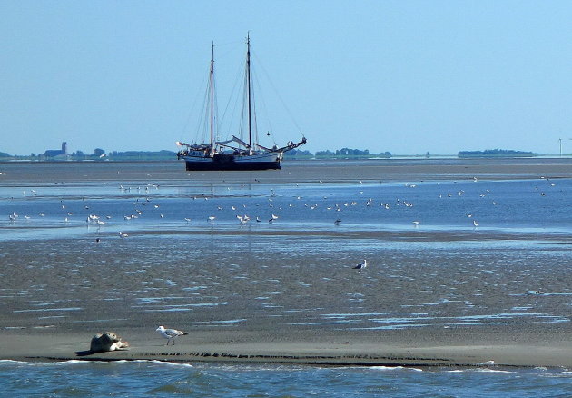 Ameland