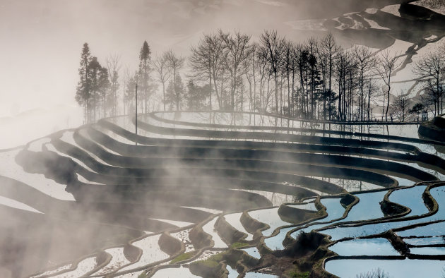 Rijstterrassen in de mist