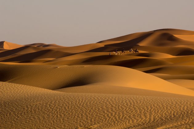 Patronen in het zand