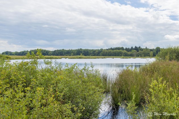 Vennen aan Dwingelderveld