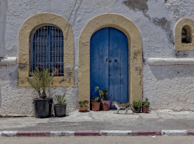 Dwalen door de straten van Essaouira 