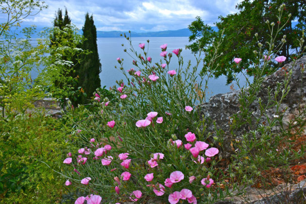 Uitzicht op het meer van ohrid