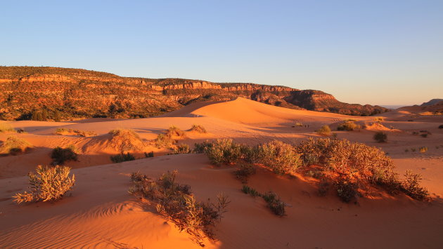 Coral Sanddunes States Park