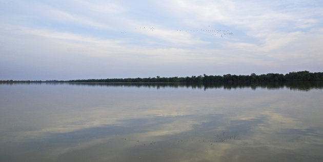 Vogels in het water!