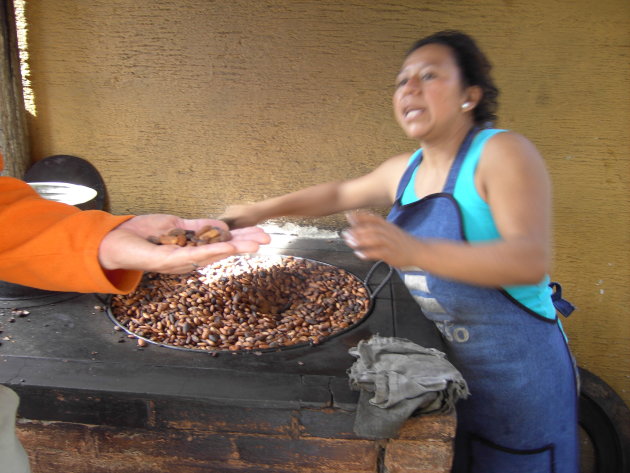 Chocolade y cacao