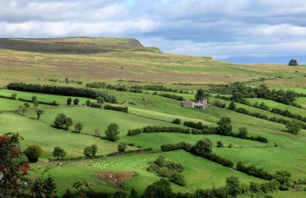 Glenariff Forest Park