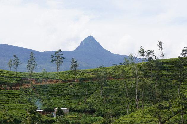 Een tempel op de top van Adam's Peak!