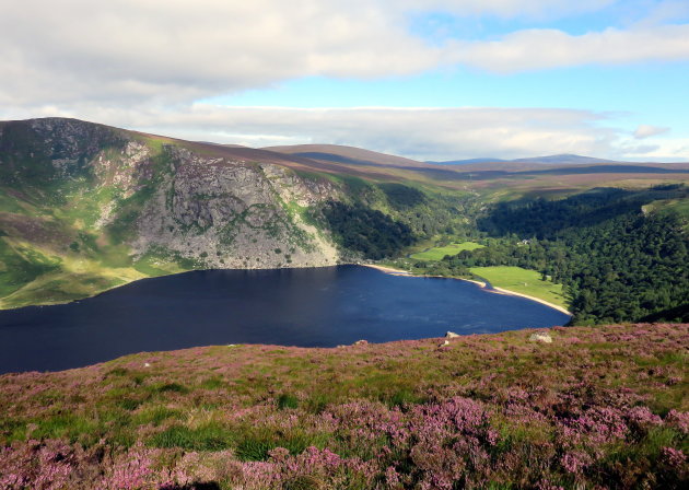 De Wicklow Mountains