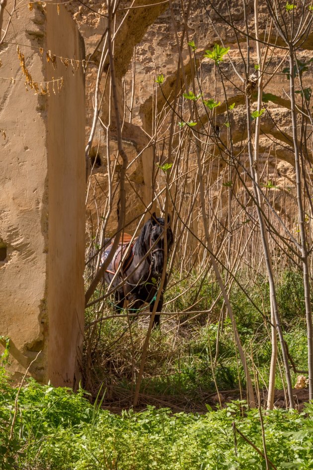 Koninklijke stallen in Meknes