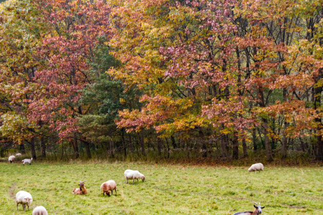 Herfst op komst