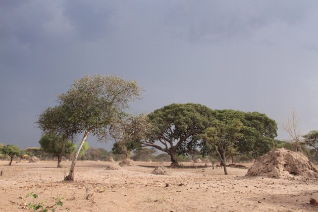 Vervolg bijzondere lucht