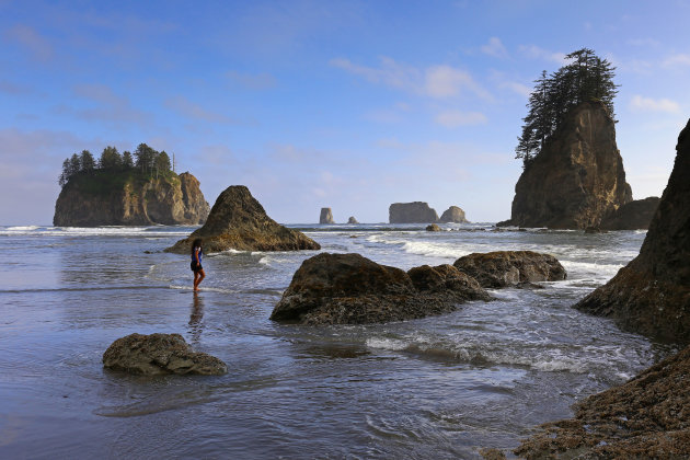 Sea stacks in het Olympic N.P.