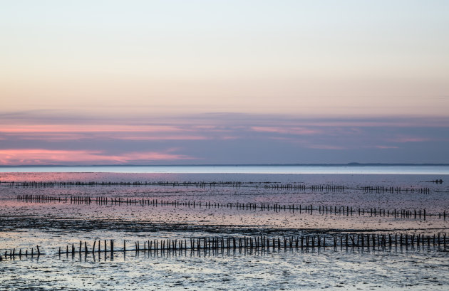 De waddenkust kleurt 