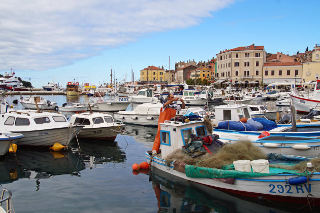 Fischerman Rovinj