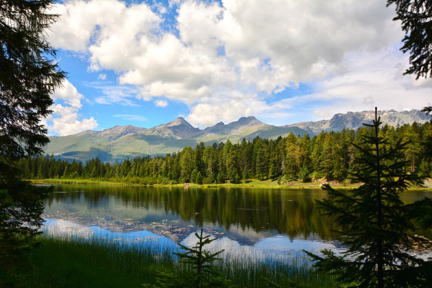 Kraak heldere Schwarzsee