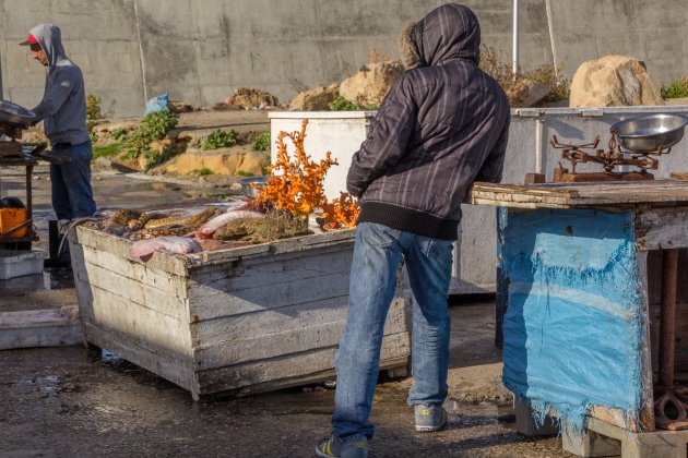 Vangst van de dag, visafslag bij Asilah