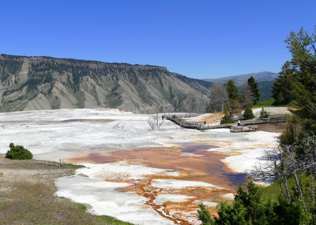 Landschap  Mammoth Hot Springs 