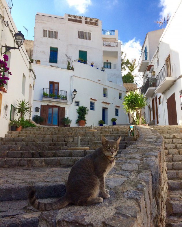 Dalt Vila in Ibiza stad