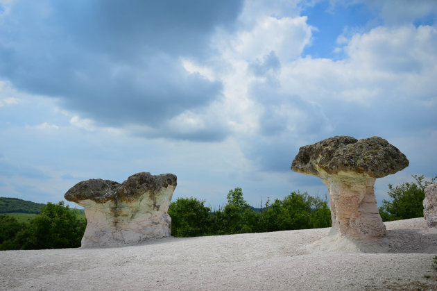 De stenen paddestoelen