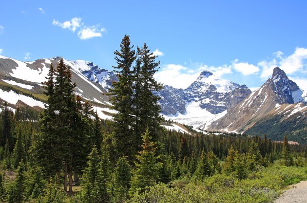 Icefield Parkway