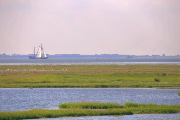 de Wadden puur