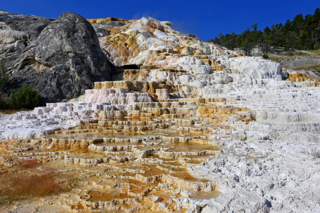 Mammoth Hot Springs