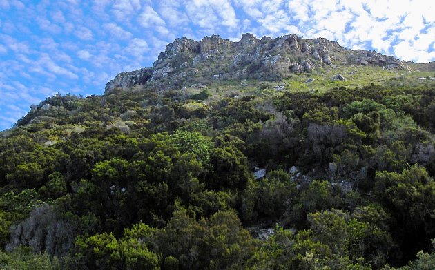 Tafelberg NP