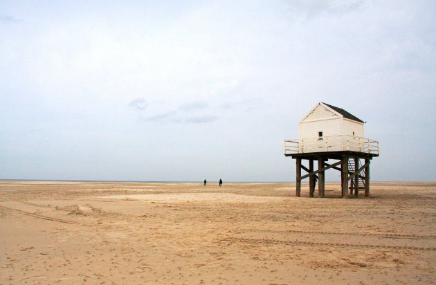 Sahara in Nederland