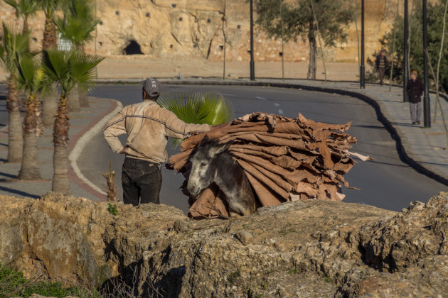 Fes, de gedroogde vellen worden verzameld