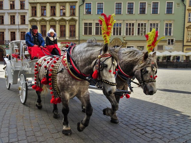 Paardenkoets op de Rynek Glowny